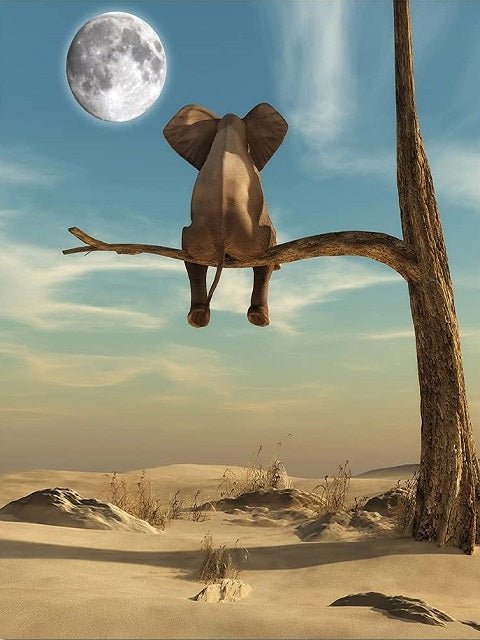 Elephant Watching Moon - Painting by numbers shop