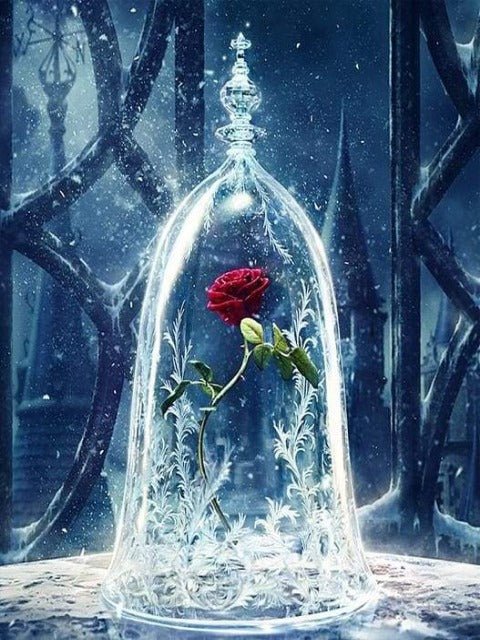 Enchanted Rose - - Schilderij op nummerwinkel