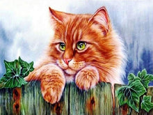 Load image into Gallery viewer, Kitty on the Fence - Painting by numbers shop
