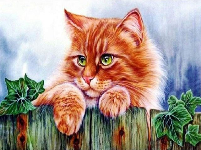 Kitty on the Fence - Painting by numbers shop