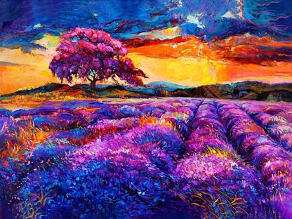 Lavender Sunset - Painting by numbers shop