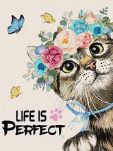 Laad afbeelding in Gallery viewer, Life is Perfect with Cats - Schilderen op nummer winkel