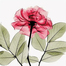 Laad afbeelding in Gallery viewer, Mini Red Rose - Schilderen op nummer winkel