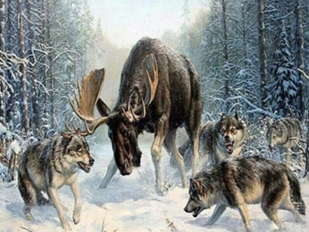 Moose and Wolves - Schilderen op nummer winkel