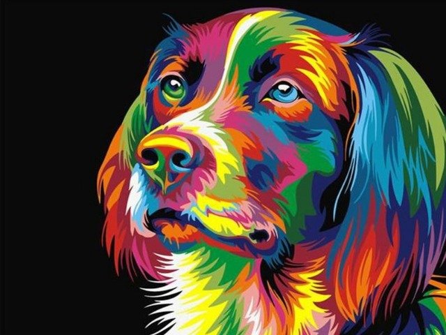 Neon Dog - Painting by numbers shop