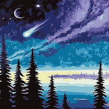 Laden Sie das Bild in den Galerie-Viewer, Nightsky Comet Paint by Numbers