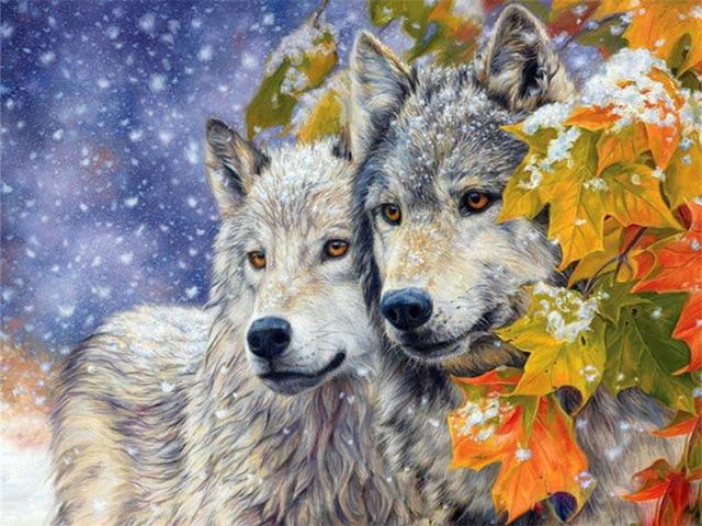 Pair of Wolves in the Snow - Painting by numbers shop