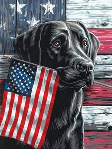 Patriottische hond - Schilderen op nummer winkel