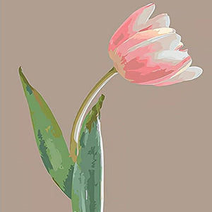 Pink Tulip - Painting by numbers shop
