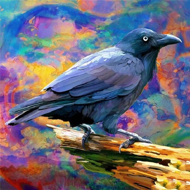 Raven - Painting by numbers shop