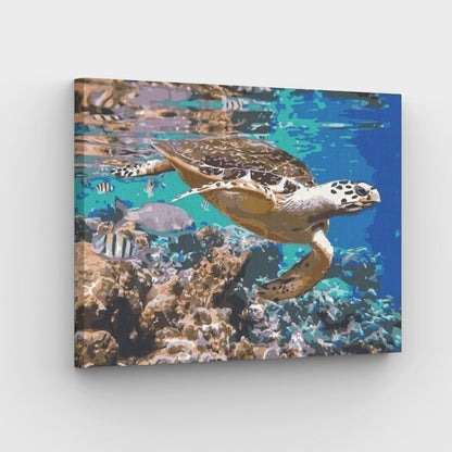 Sea Turtle II Canvas - Schilderij op nummerwinkel
