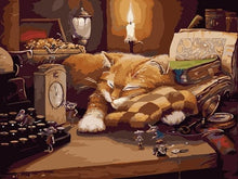 Laad afbeelding in Gallery viewer, Sleeping Cat - Schilderen op nummer winkel
