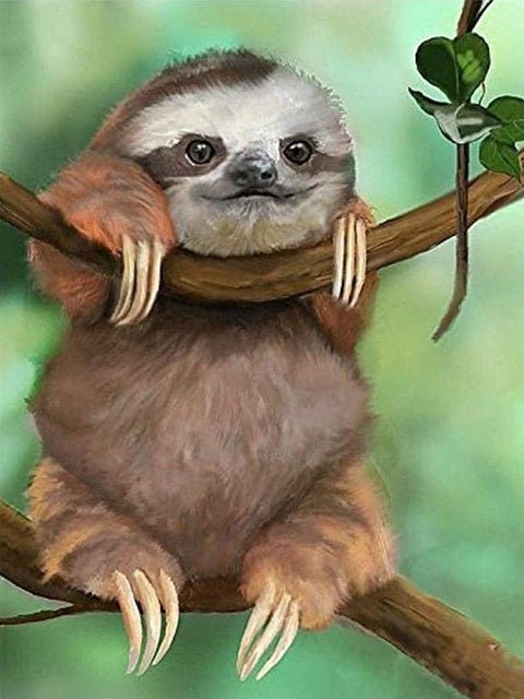 Sloth - Painting by numbers shop