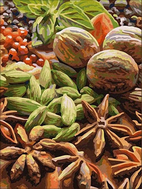 Spices - Painting by numbers shop