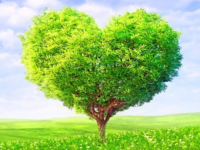 Spring Heart Tree - Painting by numbers shop