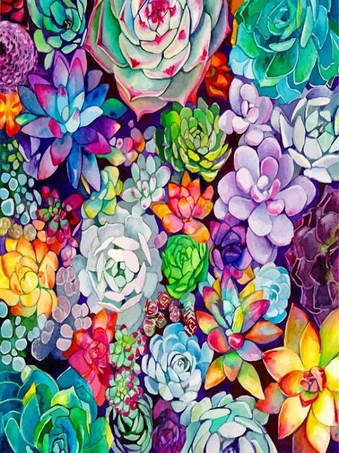 Succulents Plants - Painting by numbers shop