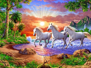 Three Beautiful Horses - Schilderen op nummer winkel