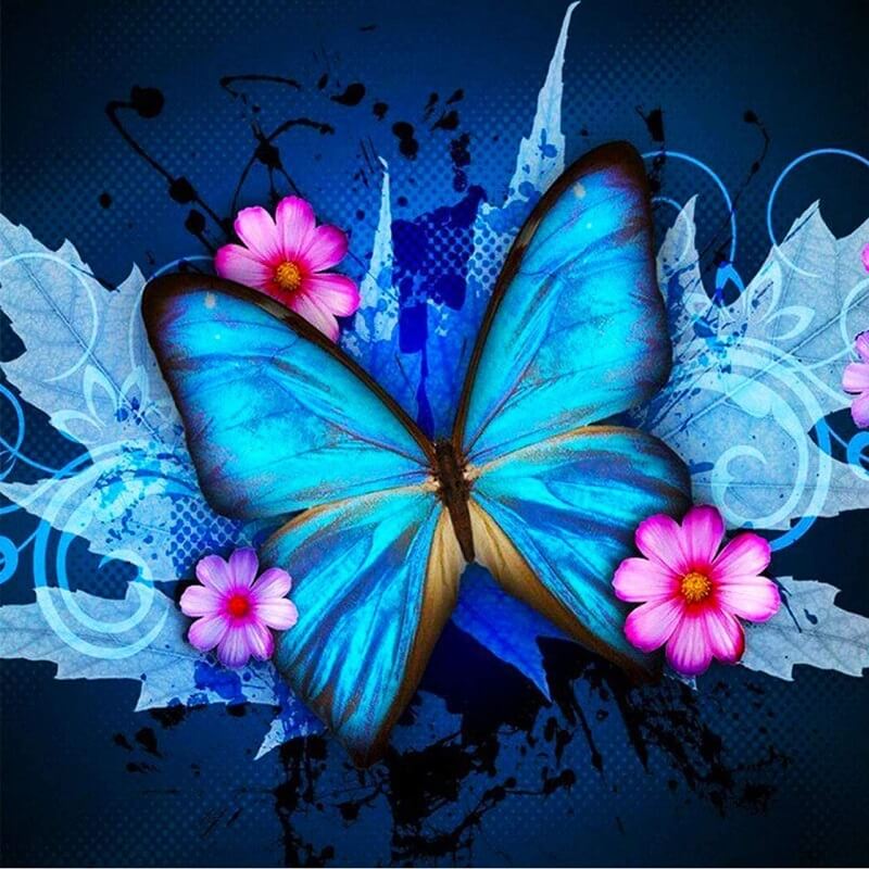 Turquoise Butterfly - Painting by numbers shop