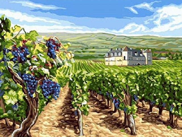 Vineyard - Paint by numbers