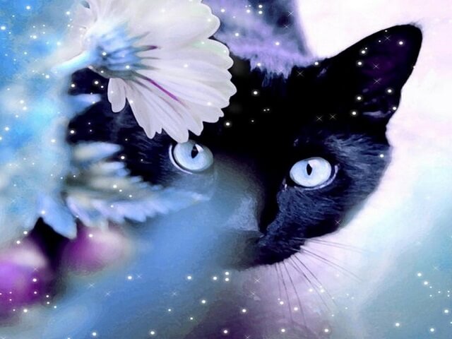 Violet Cat in the Snow - Painting by numbers shop