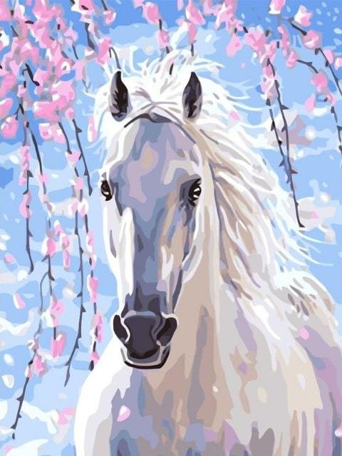 White Horse - Painting by numbers shop