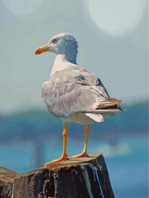 White Seagull - Paint by numbers