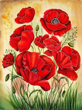 Laden Sie das Bild in den Galerie-Viewer, Wild Red Poppy Flowers - Malen-nach-Zahlen-Shop