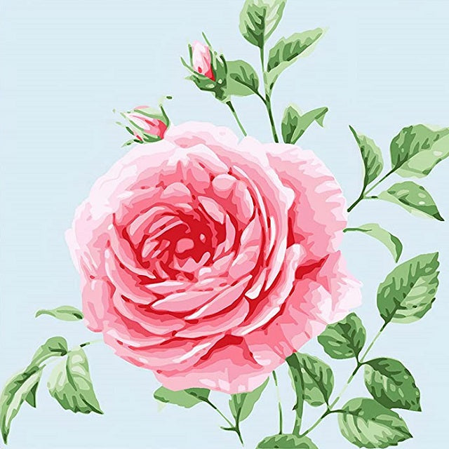 Wild Rose Easy Paint by Numbers