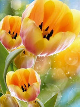 Laad afbeelding in Gallery viewer, Yellow Tulips - Schilderen op nummer winkel