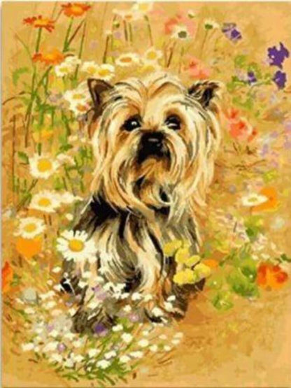 Yorkie - Paint by numbers