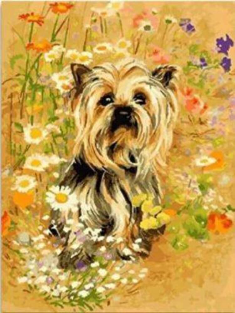 Yorkie - Painting by numbers shop